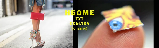 сатива Вязьма