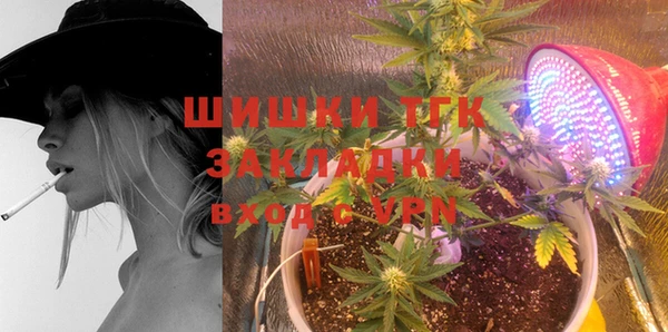 сатива Вязьма