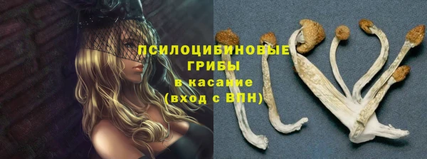 прущая мука Горняк