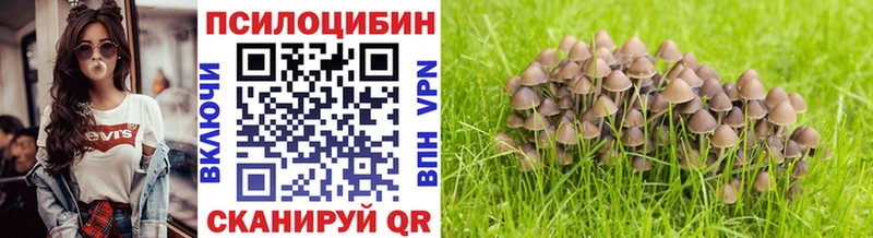 Псилоцибиновые грибы Magic Shrooms  дарнет шоп  Остров 